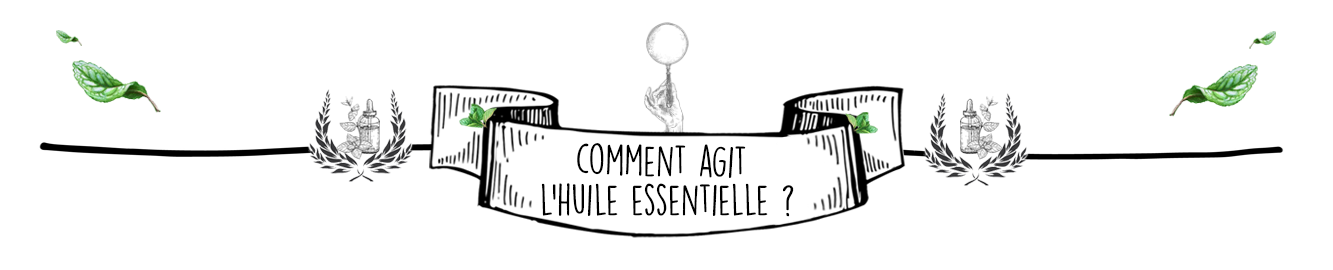 Huile Essentielle de Citron contre la Diarrhée - Olyaris